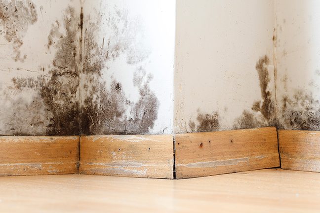 Мостик холода в строительстве